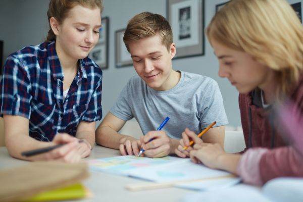 InfoEducaţie, olimpiada care asigură un loc la facultate